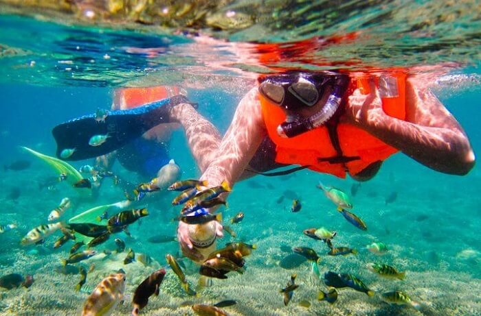 Snorkeling Objek Wisata Gili Trawangan