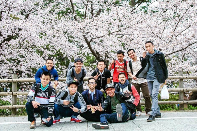 Bunga Sakura di Okazaki Kouen